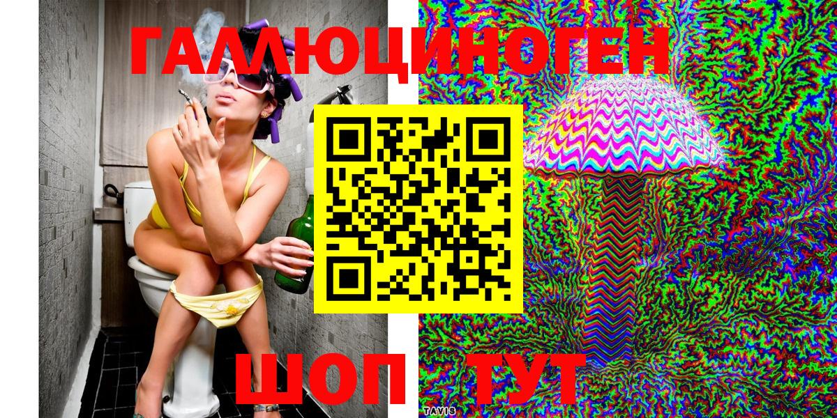 Псилоцибиновые грибы Psilocybine cubensis Гусиноозёрск