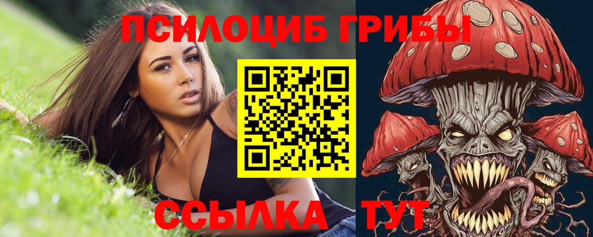 Галлюциногенные грибы мицелий  Вход с VPN  Галлюциногенные грибы Psilocybe  Гусиноозёрск 